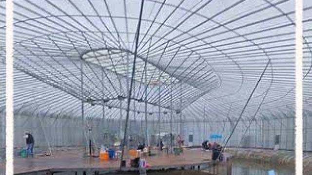 钓鱼佬的福音来啦 冬季钓鱼就来北京房车园冬钓大棚吧#钓鱼 #北京钓鱼