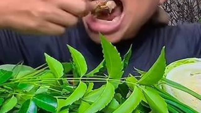 新鲜蔬菜辣炒️大田鼠