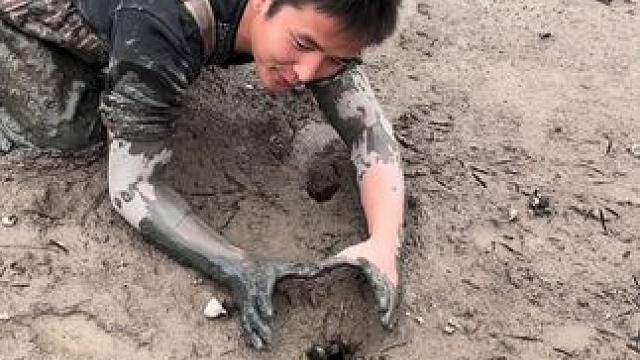 比拳头还大的鳝鱼洞你们没见过吧？没想到居然从里面抠到一条大斤货！#户外 #我的乡村生活