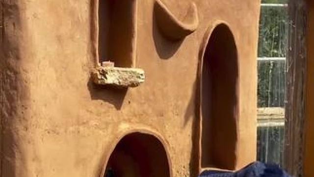 比利时小伙为休闲时光搭建娱乐场所！