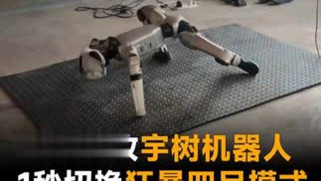 老外爆改宇树机器人，1秒切换狂暴四足模式，网友：吓懵了！