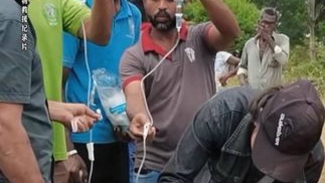 第一人称动物独白 #商城 #第一人称视角 #动物独白