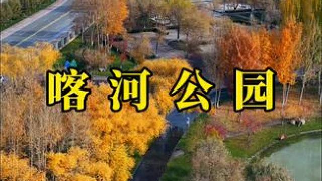 天上人间 如果真值得歌颂 #秋天 #小县城 #治愈系风景