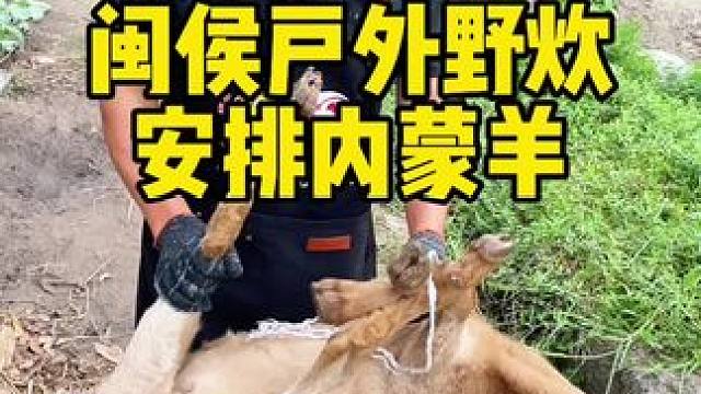 随叫随到的烤全羊来咯#上门烤全羊 #团建聚会 #同城美食 #美食推荐官 #烤全羊