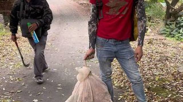 荒野猎人之爬山️抓七里蜂 爬树猫爪