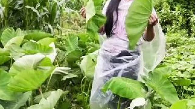 山卡卡里的农村大姐一部手机开播30天变现2000+新人首播一个小工具今天开播就可以拿去用轻松开播#农