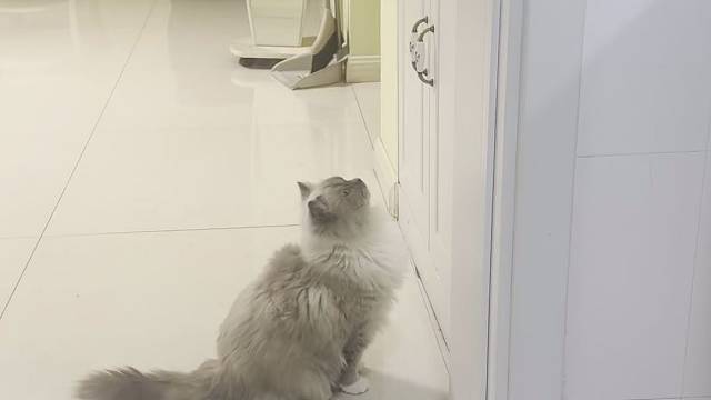 罚站，面壁思过