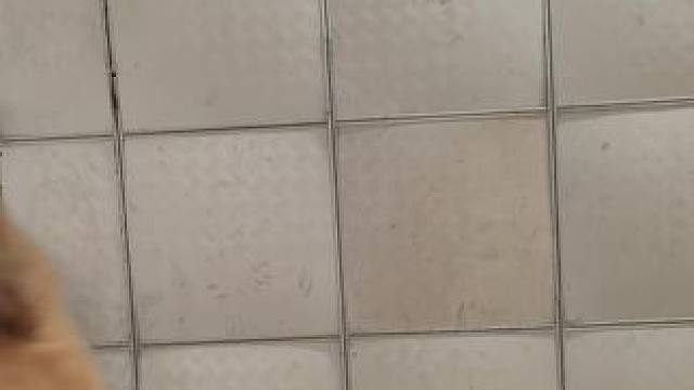 家有中华田园犬