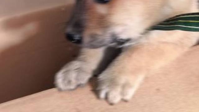 我发布了一个新视频，快来围观吧！