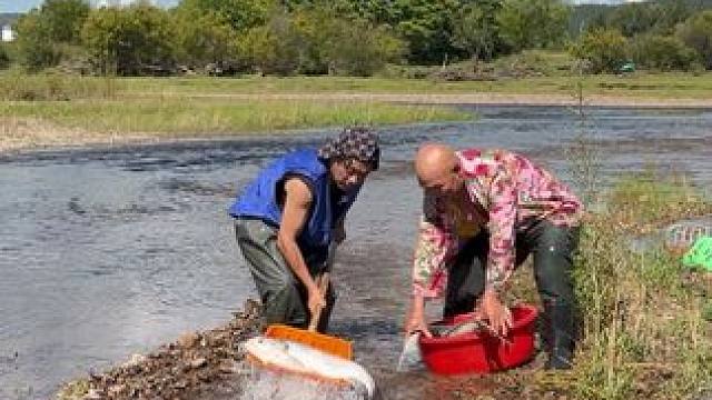 #乡下野外抓鱼视频