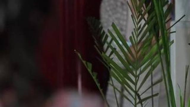 东北年代之我的大腰子