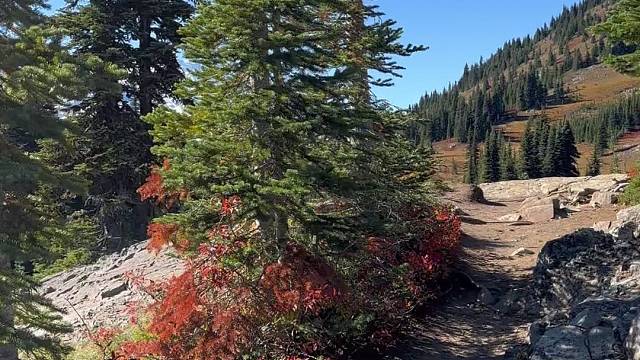 我也算到过西部下过基层了