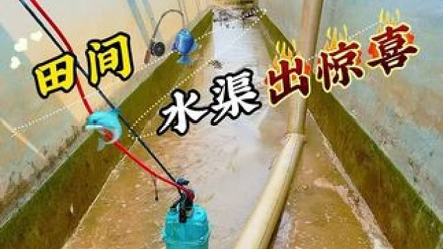 万万没想到这小沟里竟然还有意外的惊喜