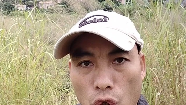 我呼吁关闭网络游戏