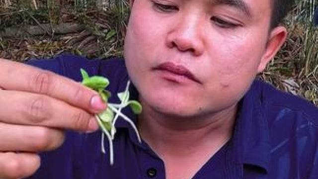 臭豆子芽小米辣️凉拌大青虾