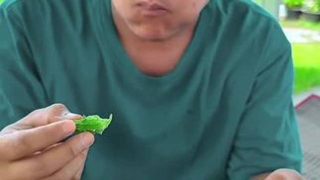 泰国小赖瓜鲜辣️凉拌牛胸口