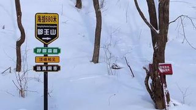 哈尔滨市郡王山露营基地森林雪屋冬季开放营业中