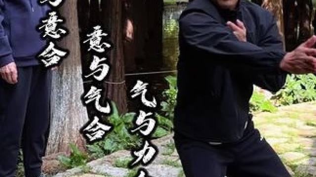 传统武术中的六合 心与意合，意与气合，气与力合 肩与胯合，肘与膝合，手与足合