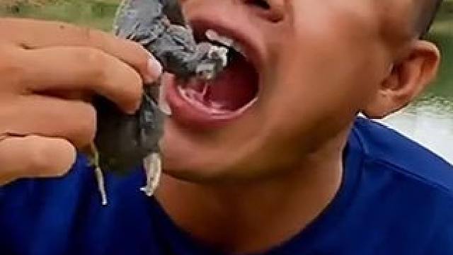 水煮的大牛蛙太香了