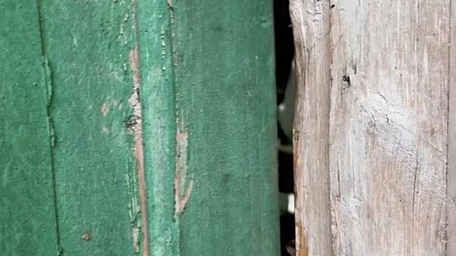 这丈母娘怎么那么年轻[捂脸]