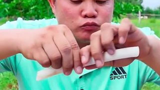 水嫩荷叶杆泰式酸辣️凉拌猪花肠