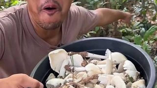 采蘑菇‍的小男孩