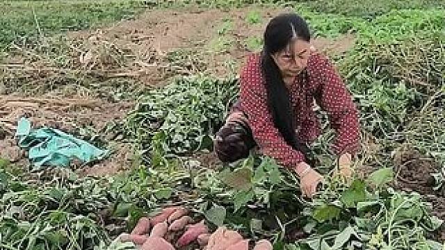 山卡卡的农村大姐一部手机直播30天变现2000新人首播一个小工具直接拿去用轻松开播