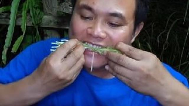 鲜辣️黄花蔺辣拌田螺肉一大把芽苗菜