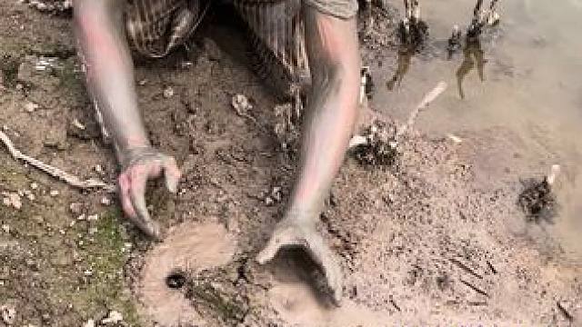 比拳头还大的大浆洞你们见过没有？没想到扣到两条斤货，又惊喜又意外！！