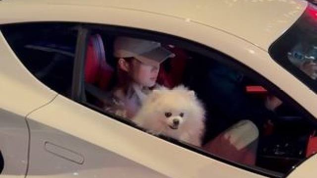 晚上偶遇路特斯小哥哥出来逛街了，副驾驶小姐姐旁边的博美也太可爱了吧，应该没什么烦恼了吧