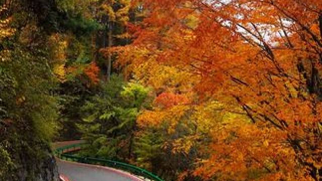 如果你累了可以来曾家山看看，一个能治愈的地方。