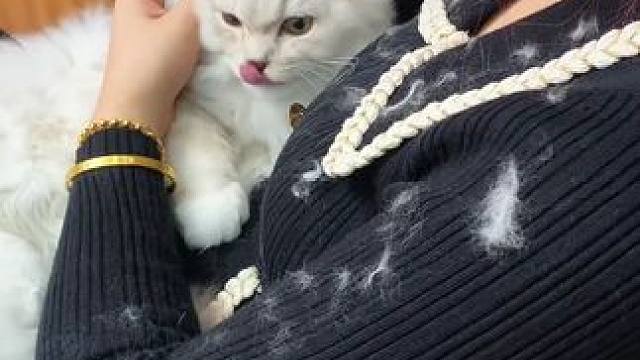 企鹅粘毛器 神奇的粘毛器!不仅能轻松清理头发和猫猫狗狗掉落的毛发，水一冲就干净能继续用了