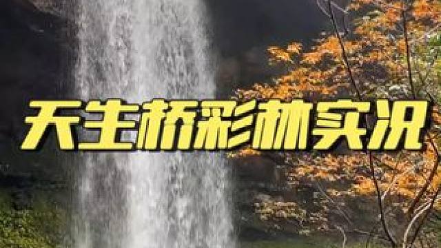 秋天风里总是带着想念的味道 视频来源：龙苍沟天生桥景区拍摄 #