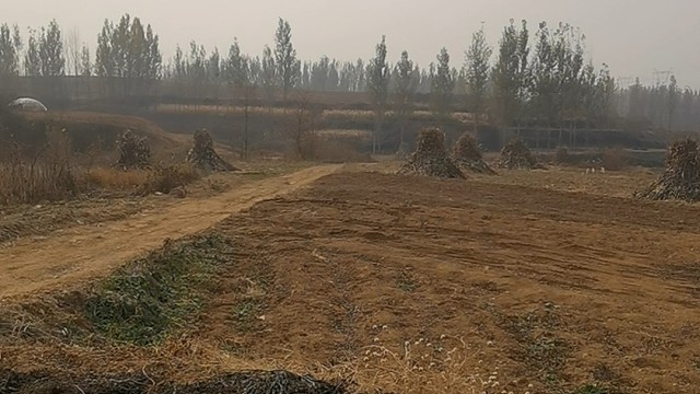 该死的温柔，让我对你的爱无地自容