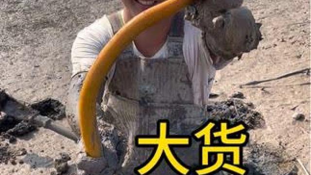 今天继续花300块包塘扣鳝，鳝鱼很多，又是赚钱上岸的一天！！