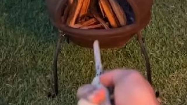 还有所有来自奥利凡德的