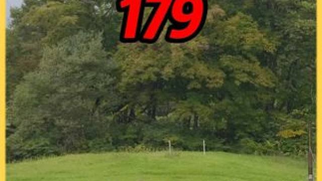 没有人能拒绝在睡前刷上一集解压的床车露营。