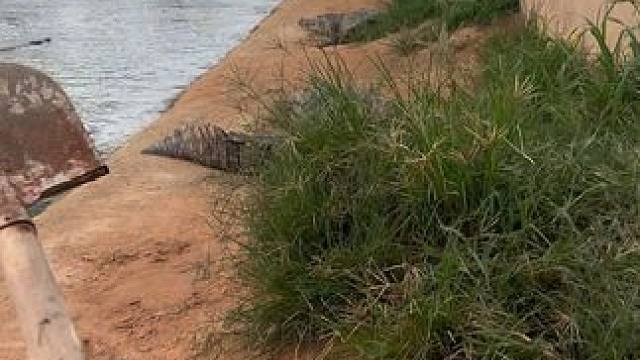 这么硬的头打下去感觉痛吗