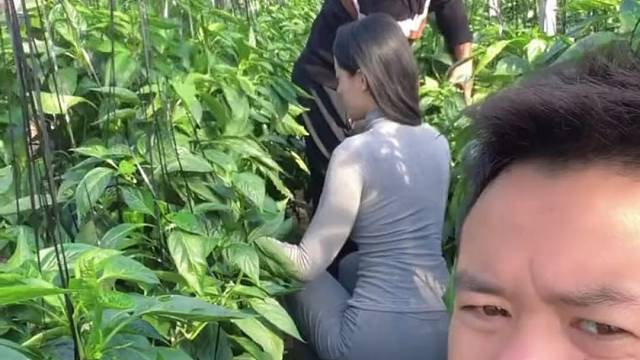 倒插门不是人，吃人家粮食，人家人