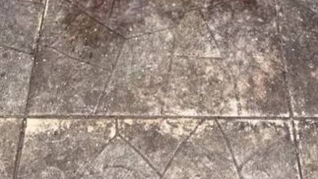 瓷砖强力清洁剂，解决反碱，发黑，发黄，铁锈等问题，厕所清洁的好帮手！