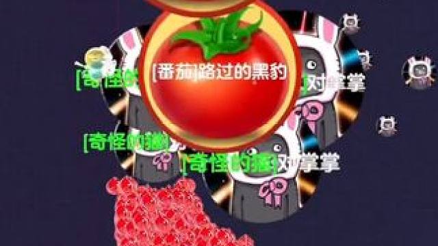 跟我比手速 吓我一跳