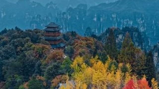 张家界天子山的秋天是五颜六色的。