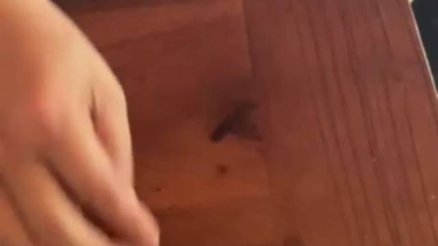 魔术表演、大家远离赌博