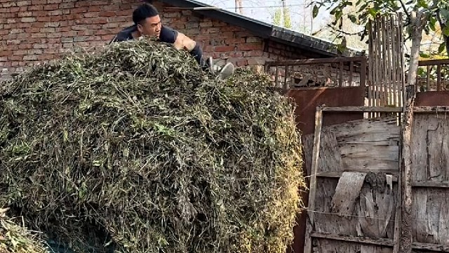 没事，压不死[捂脸]