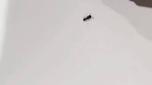 我发布了一个新视频，快来围观吧！