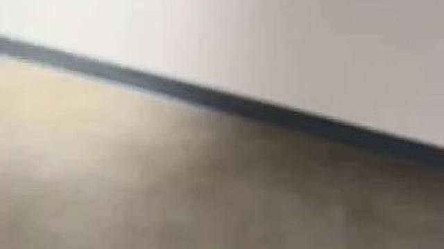 新的病毒式灯！！