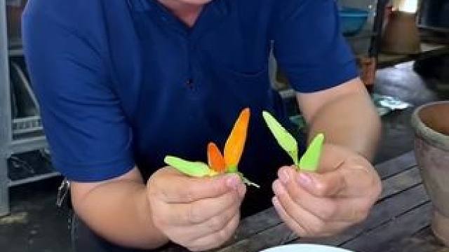 臭豆鲜鱼肉碎碎酱搭配小泡椒️