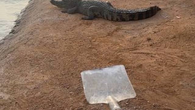 时间在消失，我们的故事才开始