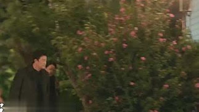 变脸比翻书还快