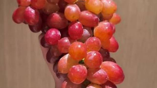 克伦生无籽葡萄脆甜爆汁新鲜采摘产地直发不用吐籽，不用吐皮的快乐谁懂？克伦生无籽红提，太惊艳了，脆甜脆